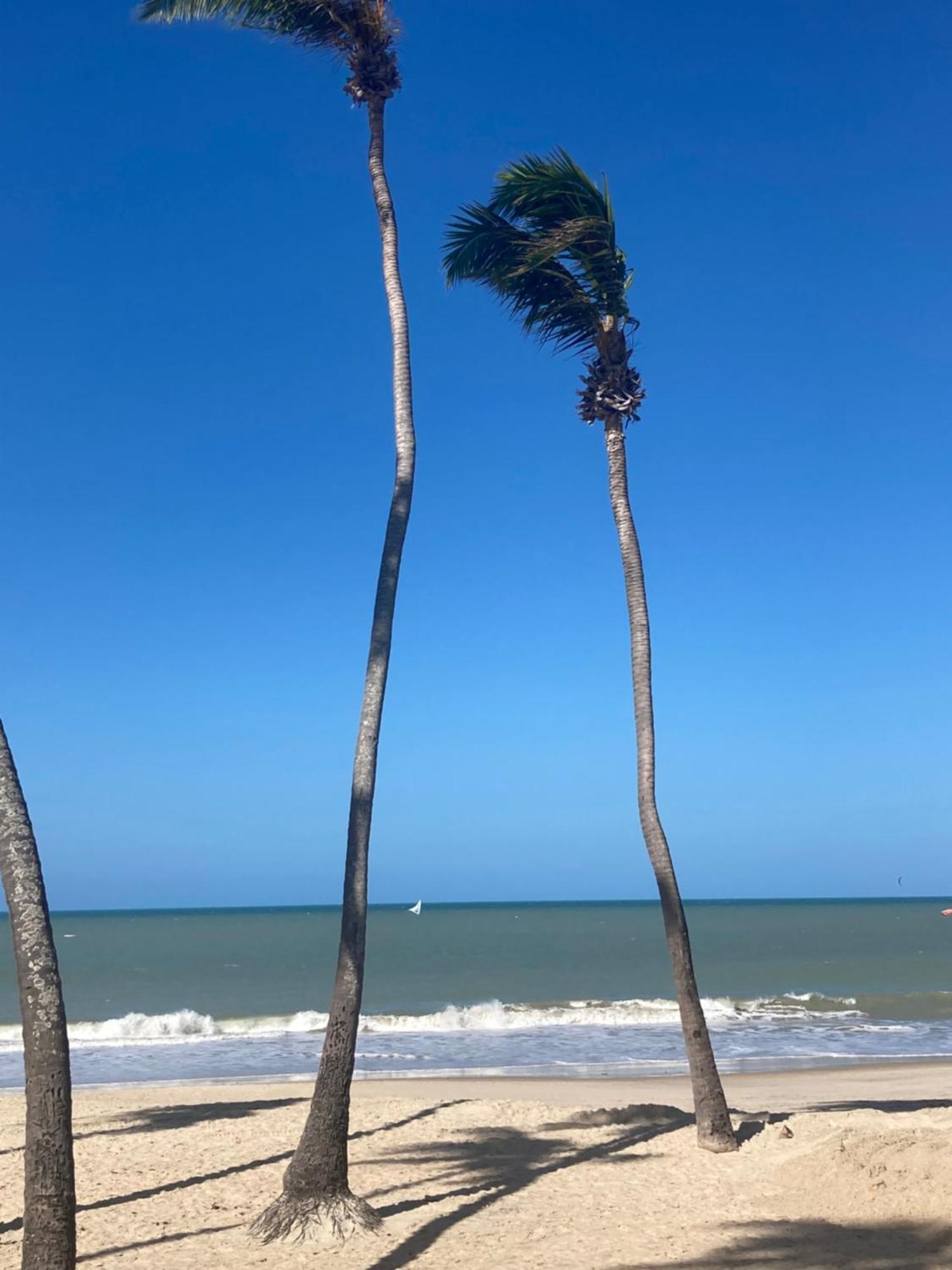 Eco Paradise Cumbuco Pe Na Areia 202 외부 사진